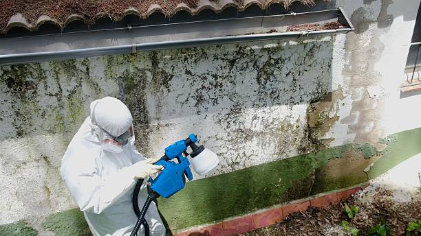 Mold Remediation service in Union, Union, NJ